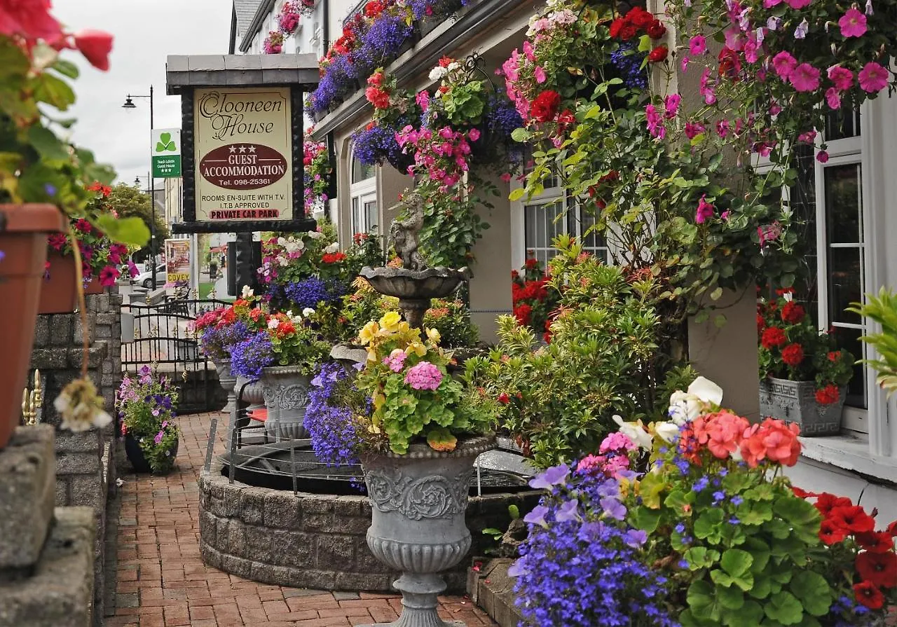 Clooneen House Westport Guest house